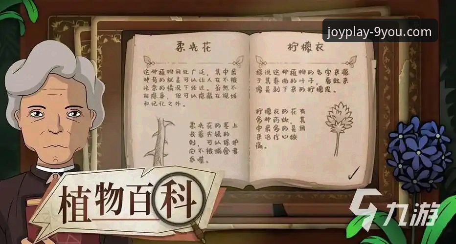 九游账号注册评测与平台使用详解